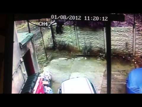 Man Hops Fence And Tries To Break Into A Home CAUGHT ON TAPE
