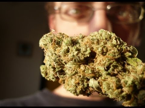 Medical Marijuana Doctor Visit