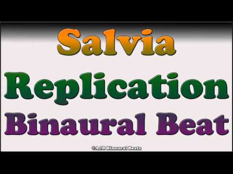 Salvia Replication Binaural Beat Session