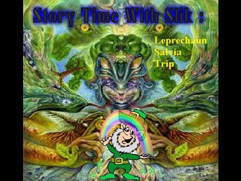 Story Time With Slik Leprechaun Salvia Trip