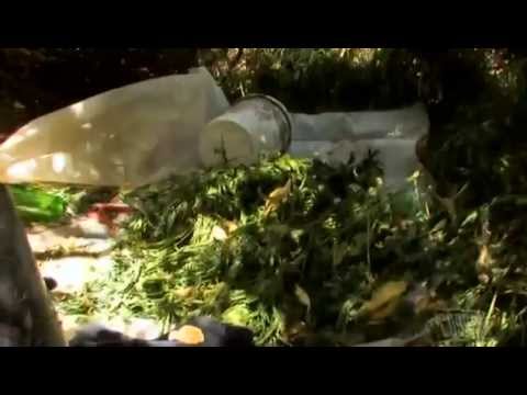 Marijuana Wars full doc