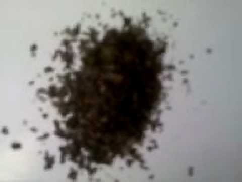 SALVIA DIVINORUM CRYSTAL EXTRACT - LEGAL HIGH