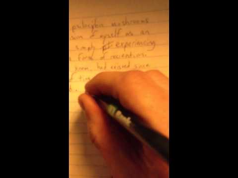 psilocybe cubensis trip report