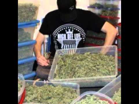 Medical Marijuana for sale