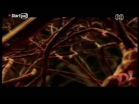 Marijuana smoking (Hebrew subtitles)