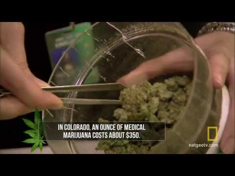 Marijuana in America, Cannabis in United States of America. Pot in North America