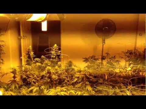 Grow Room 6k