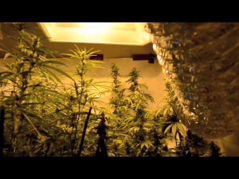 2600w Automated Laboratory: HOW IT ALL WORKS