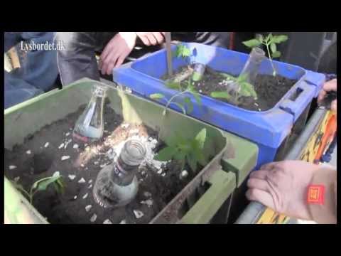 Global Marijuana March 2013/ Del 1