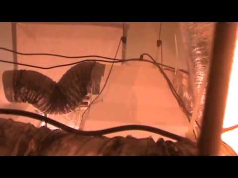 4000 Watt Grow Room w/ Luxor Hoods 3 Solis-Tek / 1 Lumatek Ballasts Titan Helios 5 Light Controller