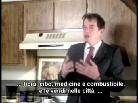 La vera storia della Marijuana