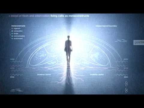 The Psychedelic Experience [HD]