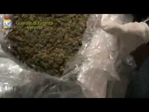 Gdf sequestro marijuana tra Affi e Mori