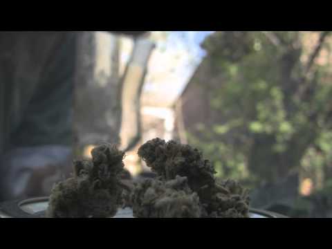 tokin daily: over 9000!