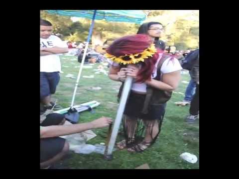 420 2013 S.F. California