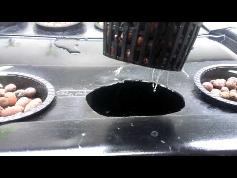 800 watt grow room update