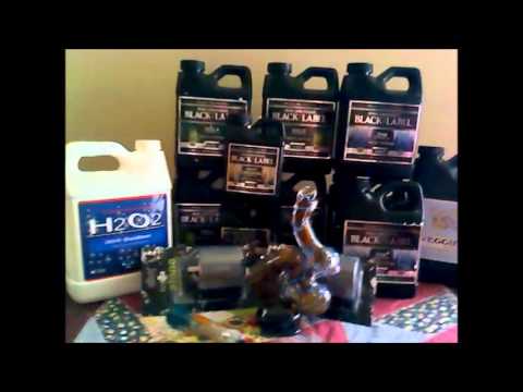 i got hooked up from pure essentials...