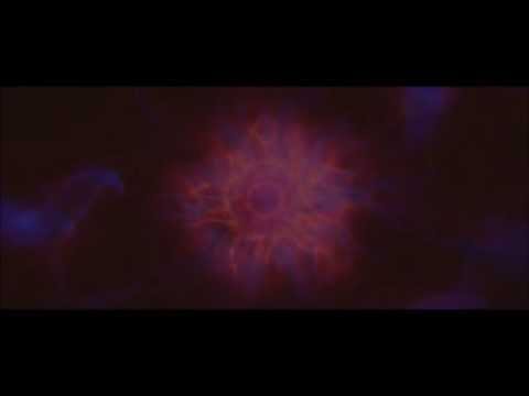 Stella blue- DMT TRIP