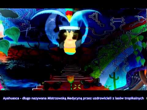 Psychodeliczne Doświadczenie/The Psychedelic Experience