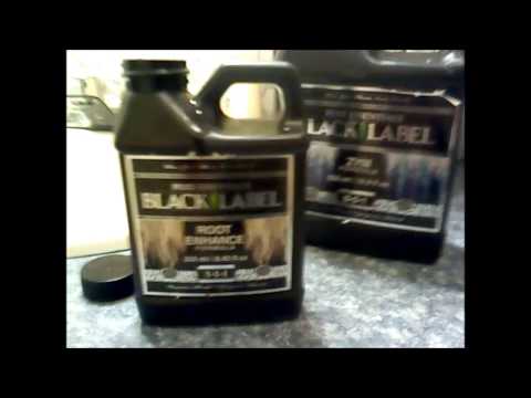 Hello Ms Parker Day 1