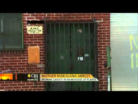 New York  suburban Mom accused in 