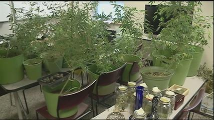 Police: Kenner man grows 32 marijuana plants in home