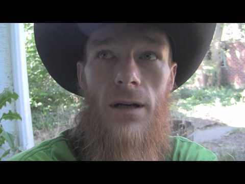 tokin daily: how to get views