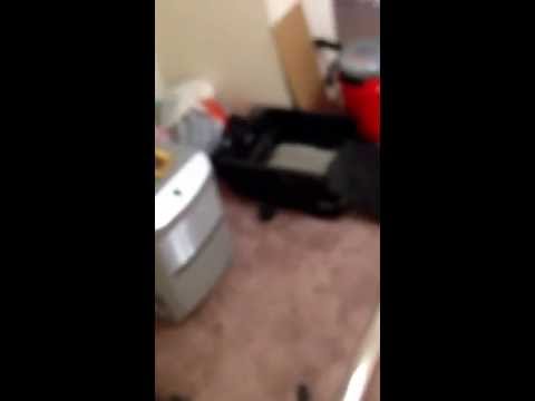 Medical grow. Vertical grow room SCROG octagon cages finished! ;D 5,500watts split 1,100 Hortilux HP