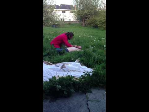 DMT 5 MEO experience with a real Shaman from Mexico