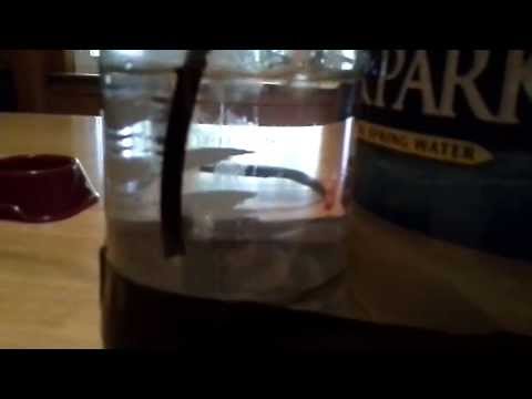 fresh and clean c02 generator for marijuana grow room