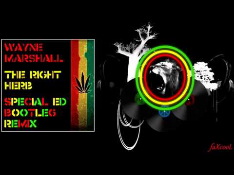 Wayne Marshall - The Right Herb (Special Ed RMX)