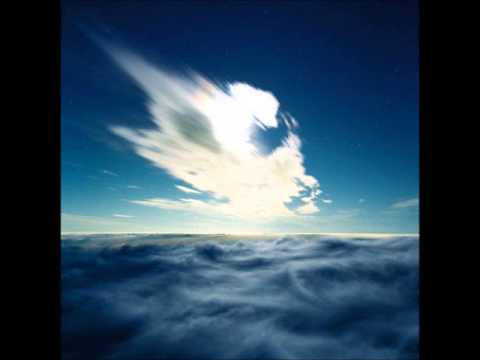 Planet Green Trees 156 People Vs  Jones 