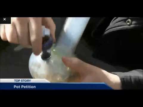 GLOBAL BC Dana Larsen speaks about Sensible BC