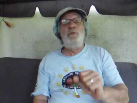 Promo zur Hanfparade 2013