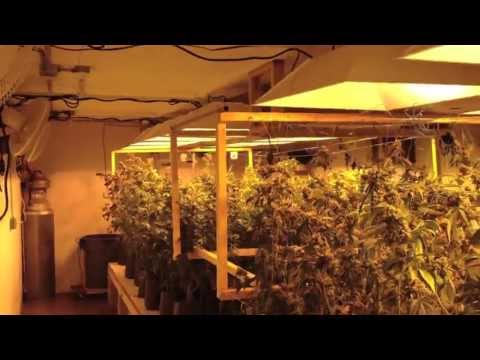 July 4th WorkShop Update