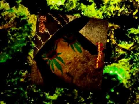 POTHEAD - We Wanna Weed (Promo 2013)