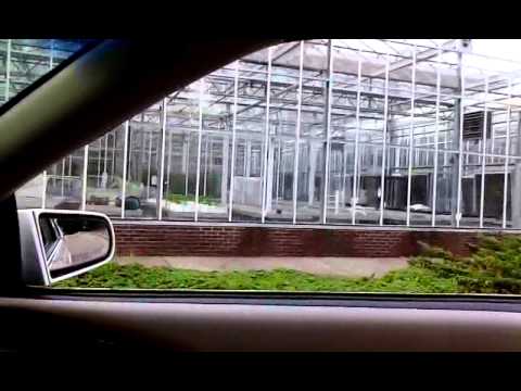 My future greenhouse