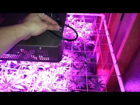 Chemdog & darkstar transition part3