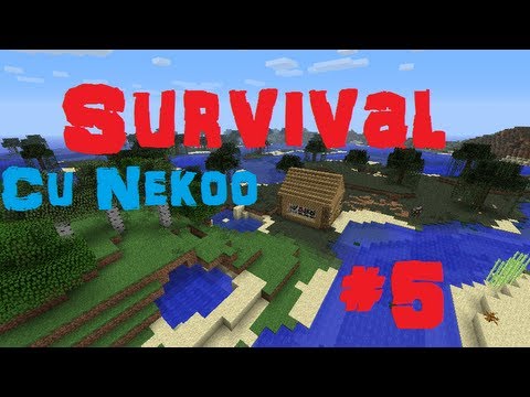 [HD][RO]Minecraft | Survival | #5 -Storage Room