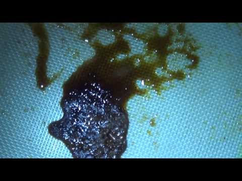 some wax action  sexy shatter