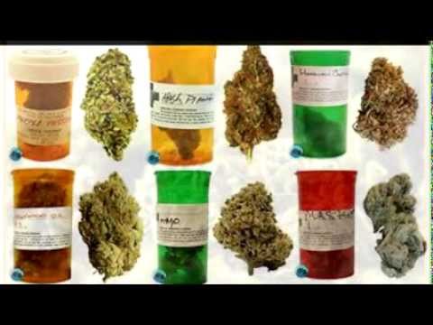TYPES OF MARIJUANA