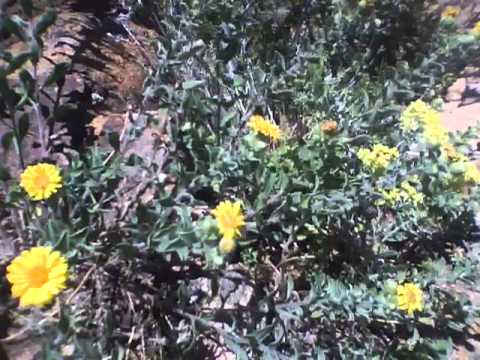 Nature dab, WIth some Rock CLimbing