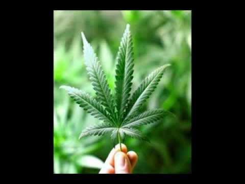 Rolling Up The Reffer