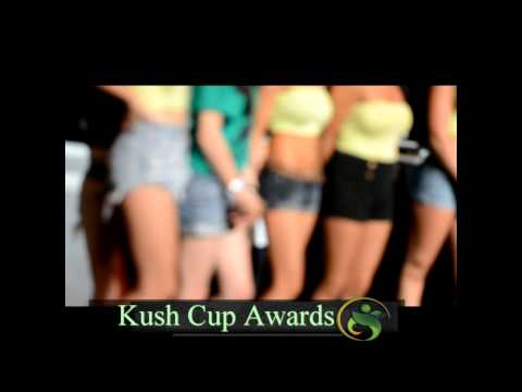Kush Cup Awards 2013