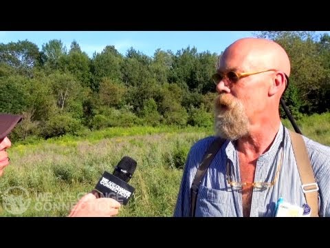 From Prescriptions to Pot; A Case for Cannabis Curing Oxycontin Addiction