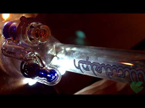 Sideways Sunday [341/420]