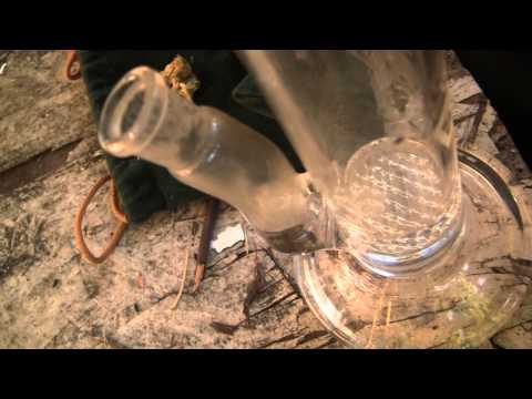 tokin daily: permastoned, deadhead og