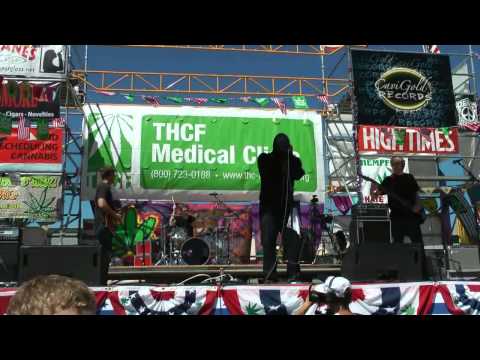 Seattle Hempfest 2013 More Music