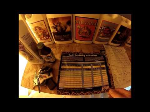 how to grow marijuana