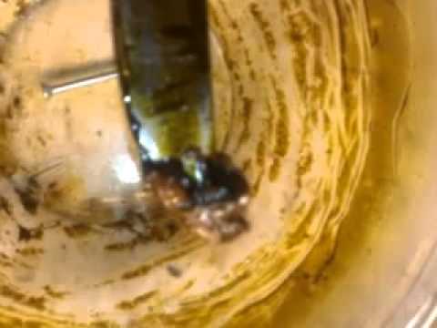 High quality Hash oil using methanol part 5 of 10